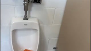 Remake Video: Bathroom Tours at Main Street Park (3rd Kohler Urinal Fixed)