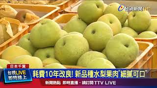 耗費10年改良！ 新品種水梨果肉「細膩可口」