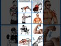 Arm,Chest,Shoulder and Abs home workout#abs #chest #calistenia #motivation #fitnes