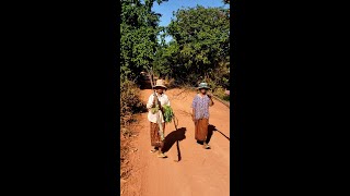 Siem Reap 2022 | Countryside Lifestyle | Villager Life in Cambodia