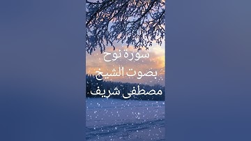 سورة نوح بصوت الشيخ مصطفى شريف #قران_كريم #تلاوة_خاشعة #متابعه_ولايك_واكسبلور_فضلا_ليس_امر #أذكار