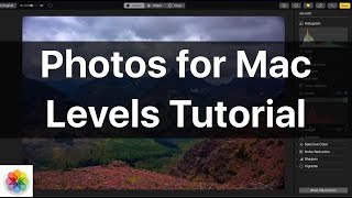 How to use the Levels Adjustment in Photos for Mac!