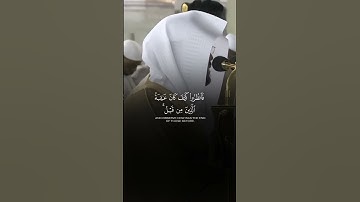 ما تيسر من سورة الروم ، القارئ الشيخ ياسر الدوسري #القرآن_الكريم #ياسر_الدوسري #غزة #الحمد_لله