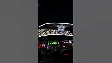 Naked Eye 3D LED Display | Stunning Glass-Free 3D Visuals #NakedEye3D #LED3DDisplay