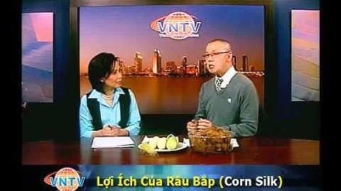 Lợi Ích Của Râu Bắp (Corn Silk)