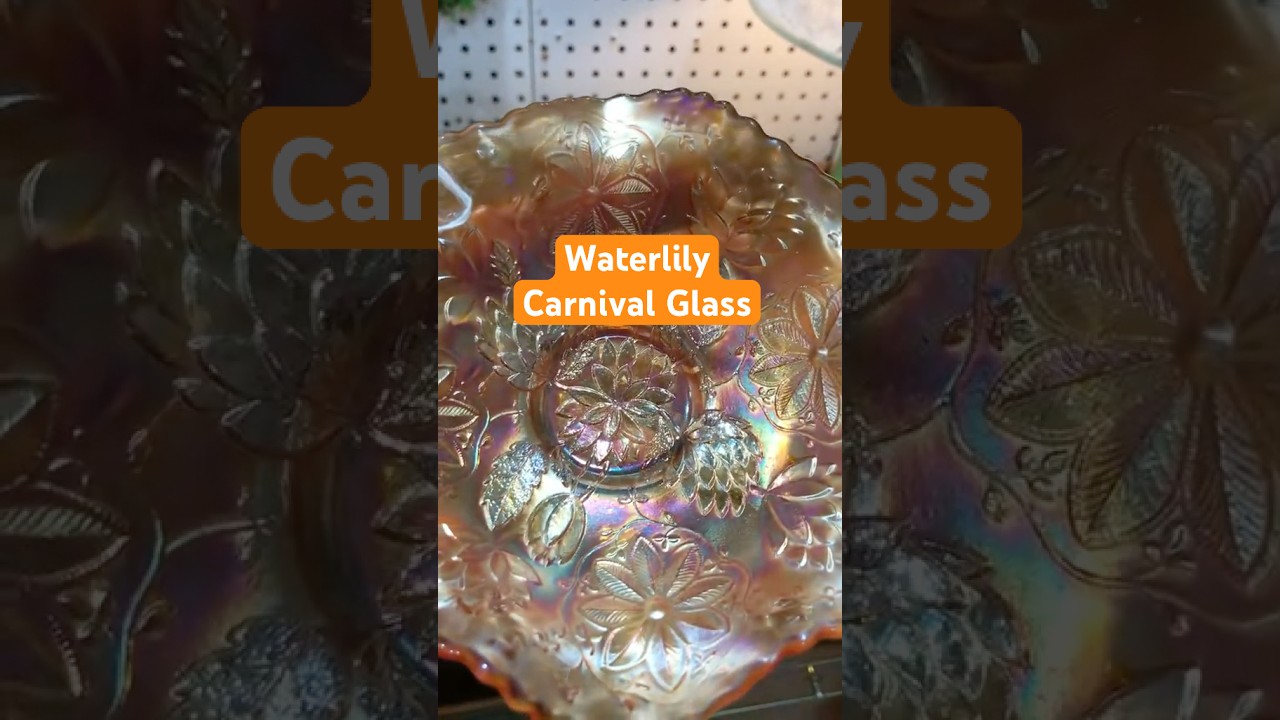 Waterlily Carnival Glass | 2024-03-05