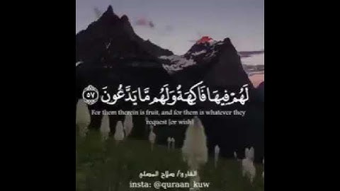 ماشاء الله  تلاوة طيبة
