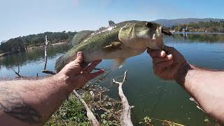 San Jose CA bass fishing almaden lake,perc pond,calero lake