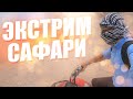 ⛔️Экстрим сафари в Хургаде - Квадроциклы - Тревел блог путешественника