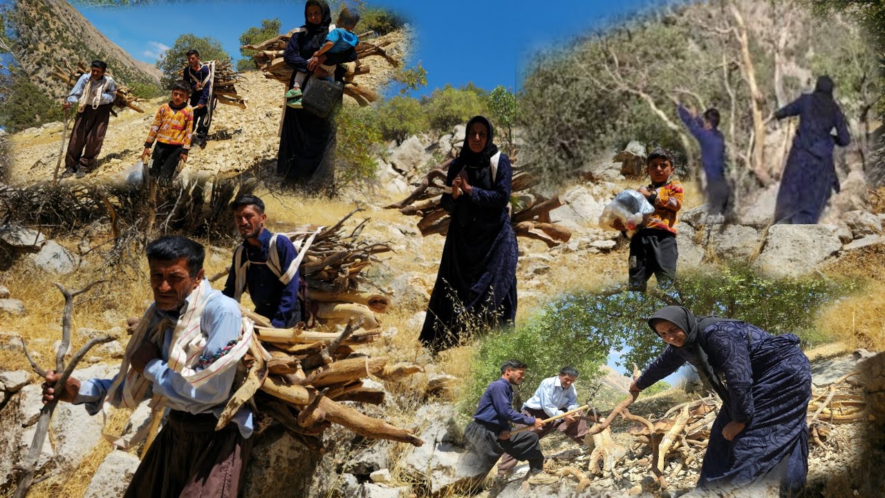 Documentary about nomadic life and gathering firewood for nomadic ...