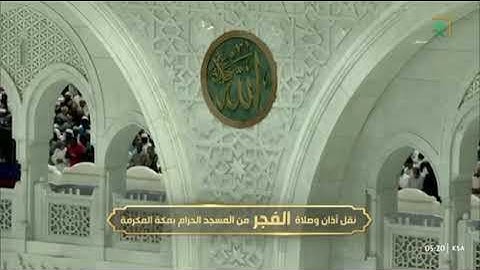 صلاة الفجر من رحاب المسجد الحرام الشيخ بدر  محمّد التركي ماتيسر من سورة التوبة📆٢3ربيع الآخر١٤٤٧