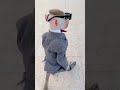 سويكه سنيفر اكسبلور سنيفر الملياردير