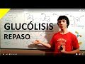 Glucólisis - Repaso en 6 Minutos