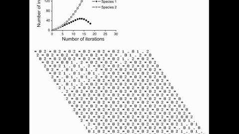 5.4. Inverted competitive exclusion. A Two-Species Competition Model. Cellular Automata