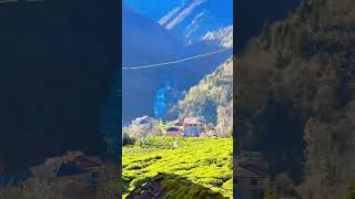 Olur Olmaz Konuşma Sevdaluk İki Sözdür. O Zaman Günaydın