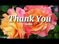 Dido - Thank You Lyrics