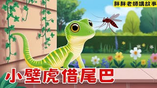 胖胖老師講故事：小壁虎借尾巴 |寓言故事|兒童故事|睡前故事|中文繪本|學知識，懂道理