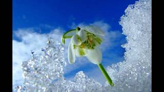 Yılmaz Tatlises - Ben Beni̇ Kaybetti̇m Resimi