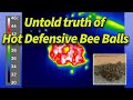 Untold truth of Hot Defensive Bee Ball