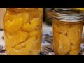 Canning Mandarins Tangerines Oranges