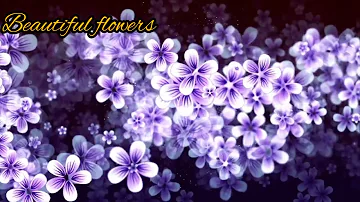 Peaceful Music, Relaxing Music,Instrumental Music, "Wildflowers"