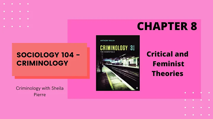 LECTURE: Chapter 8 - Critical and Feminist Theories