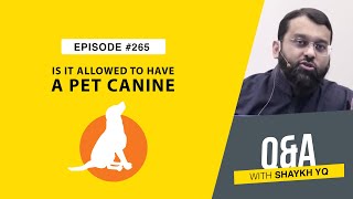 Is There Any Leeway in Keeping A Pet Canine? | Ask Shaykh YQ - EP 265