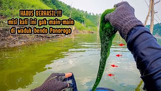 HARUS BERHASIL‼️TRIP KALI INI GAK MAIN-MAIN || mancing ikan nila di waduk bendo ponorogo