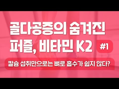 비타민K2 추천