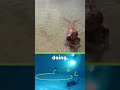 MAKO MERMAIDS BEHIND THE SCENES: Swimming with the tail #mermaids