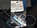 Cooking up some #acidtechno with #korg Volca Nubass #analoguesynth