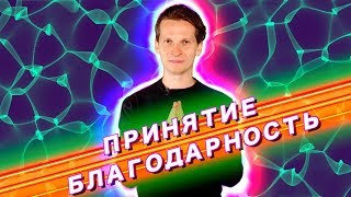 Счастье через Принятие и Благодарность