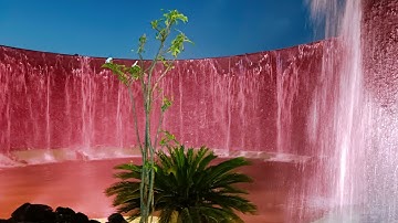 Niagara Falls 🌊 | Robotic Butterfly Park 🦋 | Exhibition | Amusement Park 🎢 