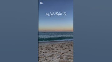 سورة القدر 🍀 #قران_كريم #صلوا_على_النبي #راحة_نفسية