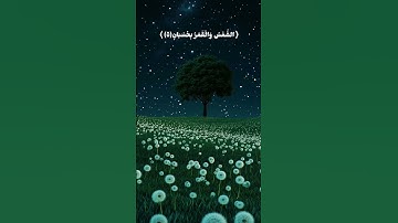 أرح سمعك .. تلاوة هادئة من سورة الرحمن بصوت أحمد خضر #تلاوة_خاشعة #قرآن #اكسبلور