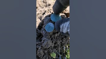 YES! Relics Found! #metaldetecting #metaldetector #minelab #manticore #digstock #findinghistory