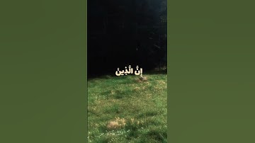 سورة غافر الآية (٦٠) #explore #اكسبلور #follow #لايك #قران