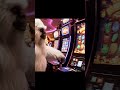 A Yeti Walks Into A Casino And Hits A Jackpot!!
