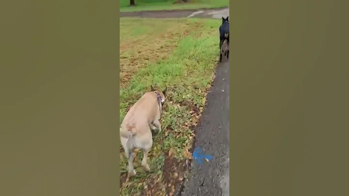 River and his girlfriend
