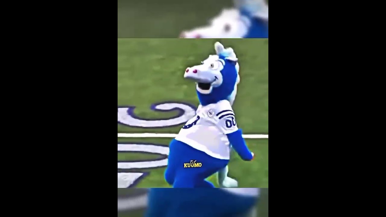 The Wildest Mascots In NFL Shorts Football Sports