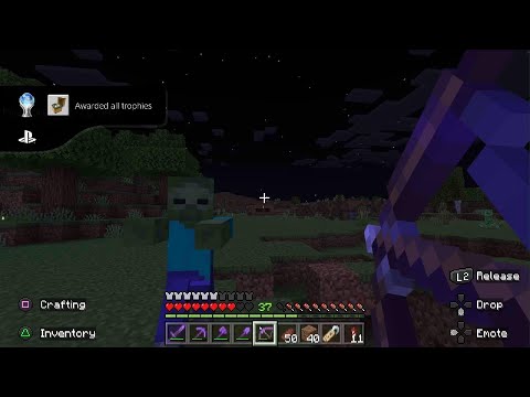Minecraft Platinum Trophy