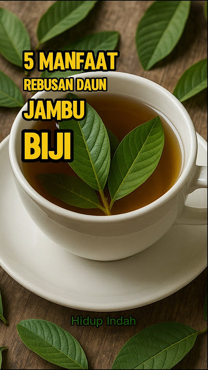 5 Manfaat Rebusan Daun Jambu Biji