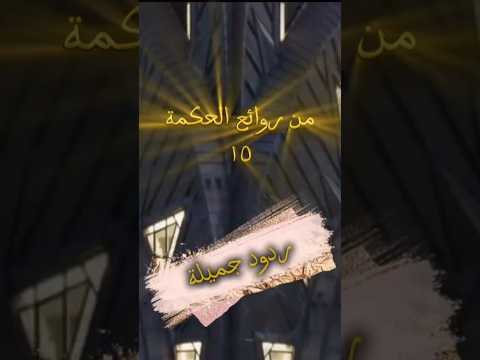 من روائع الحكمة ١٥ ردود جميلة أحسن الكلام أقوال واقتباسات روعة اكسبلور اقتباسات حكم