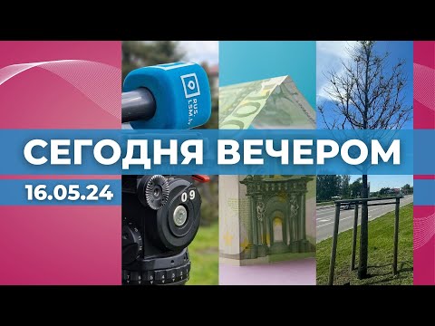 Видео: Бойкот дебатов на русском | Дебаты об экономике | Деревья на Краста