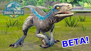 HE CREADO A BETA Y ES PRECIOSA! Beta hija de velociraptor Blue nuevo dinosaurio Jurassic World Alive