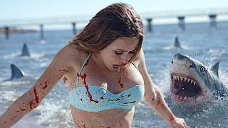 SHARK ISLAND | FILM COMPLET EN FRANÇAIS | Becky Andrews