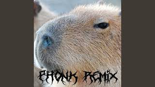Capybara phonk remix | С текстом #2