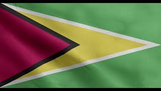 Guyana waving flag 4k loop free download