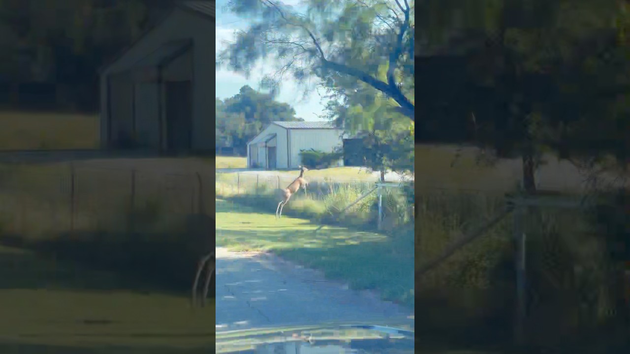 Jumping into hump Day