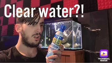 How to get clear aquarium water!